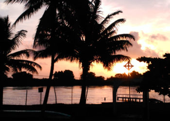 El extranjero nunca dice lo que quiere, sólo lo que puede