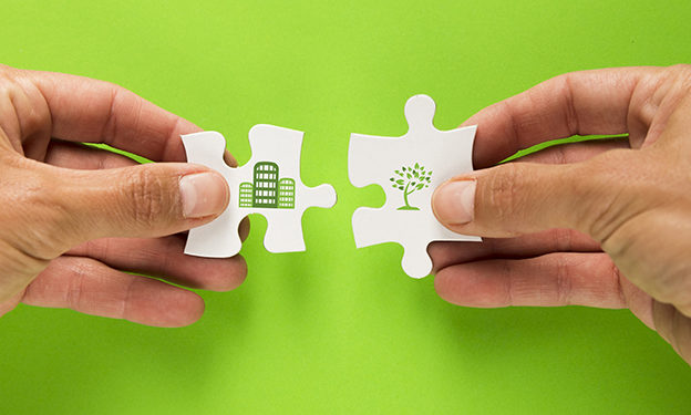 La revolución verde