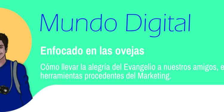 Enfocado en las ovejas